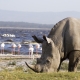 Ashford Tours & Travel