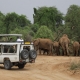 Ashford Tours & Travel