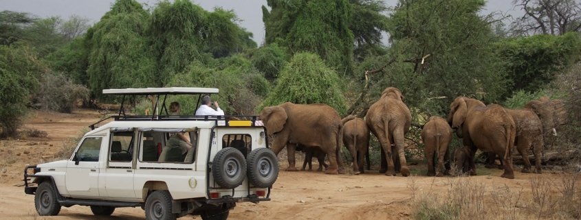 Ashford Tours & Travel