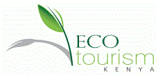 Ashford Tours & Travel