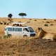 Ashford Tours & Travel