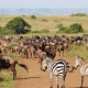 Ashford Tours & Travel