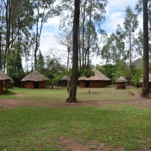 Ashford Tours & Travel
