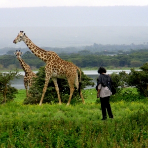 Ashford Tours & Travel