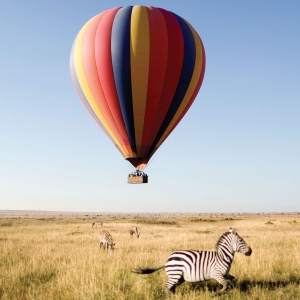 Ashford Tours & Travel