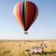 Ashford Tours & Travel
