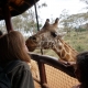 Ashford Tours & Travel