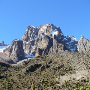 Ashford Tours & Travel