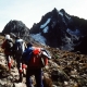 Ashford Tours & Travel