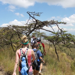 Ashford Tours & Travel