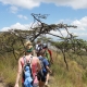 Ashford Tours & Travel