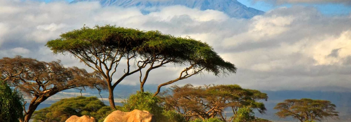 Ashford Tours & Travel
