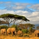 Ashford Tours & Travel