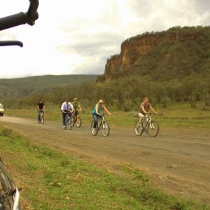 Ashford Tours & Travel