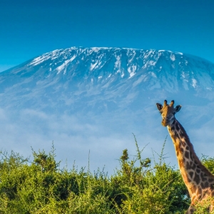 Ashford Tours & Travel
