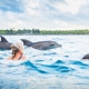 Ashford Tours & Travel