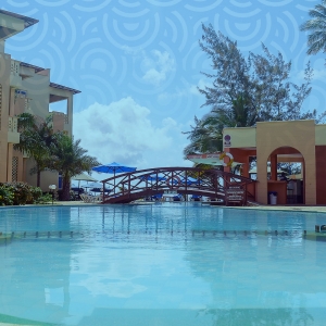 Ashford Tours & Travel
