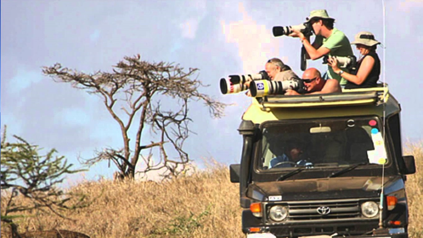 photograpic_safaris Ashford Tours & Travel