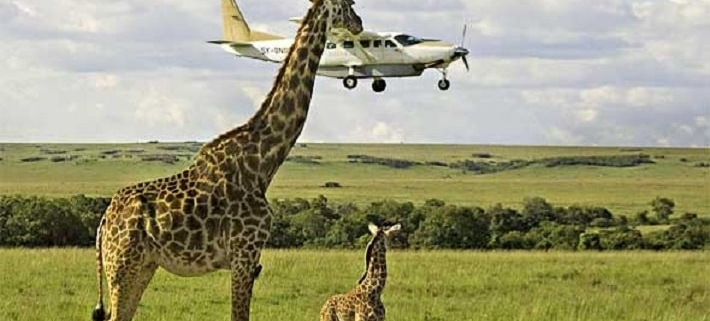 Kenya-Safari-Packages-min