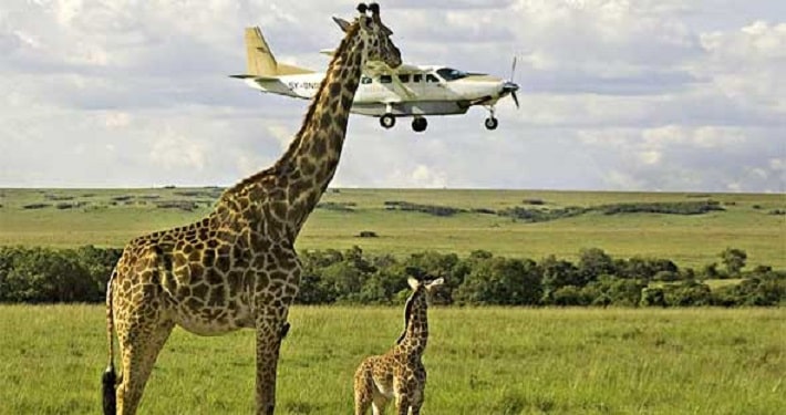 Kenya-Safari-Packages-min