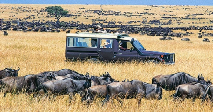 masai-mara-safari-great-migration-fp-min